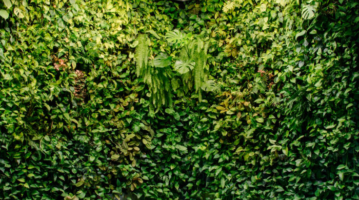 Krisztina Palace Irodaház